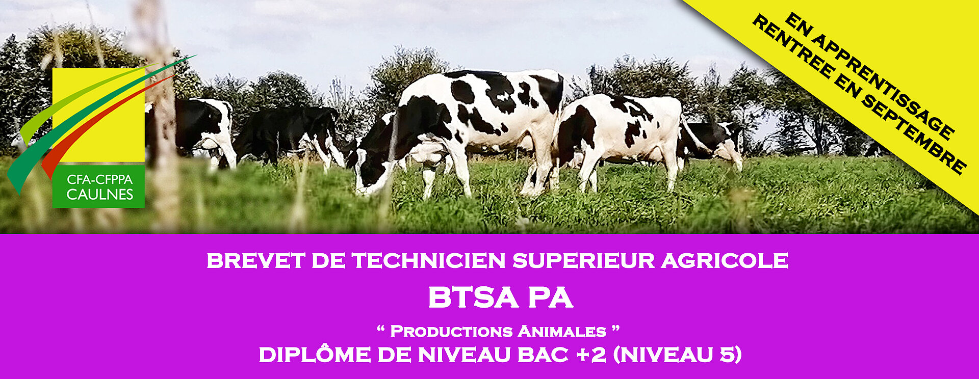 Le BTS PA , BTS Productions Animales AU CFA de Caulnes en Bretagne 